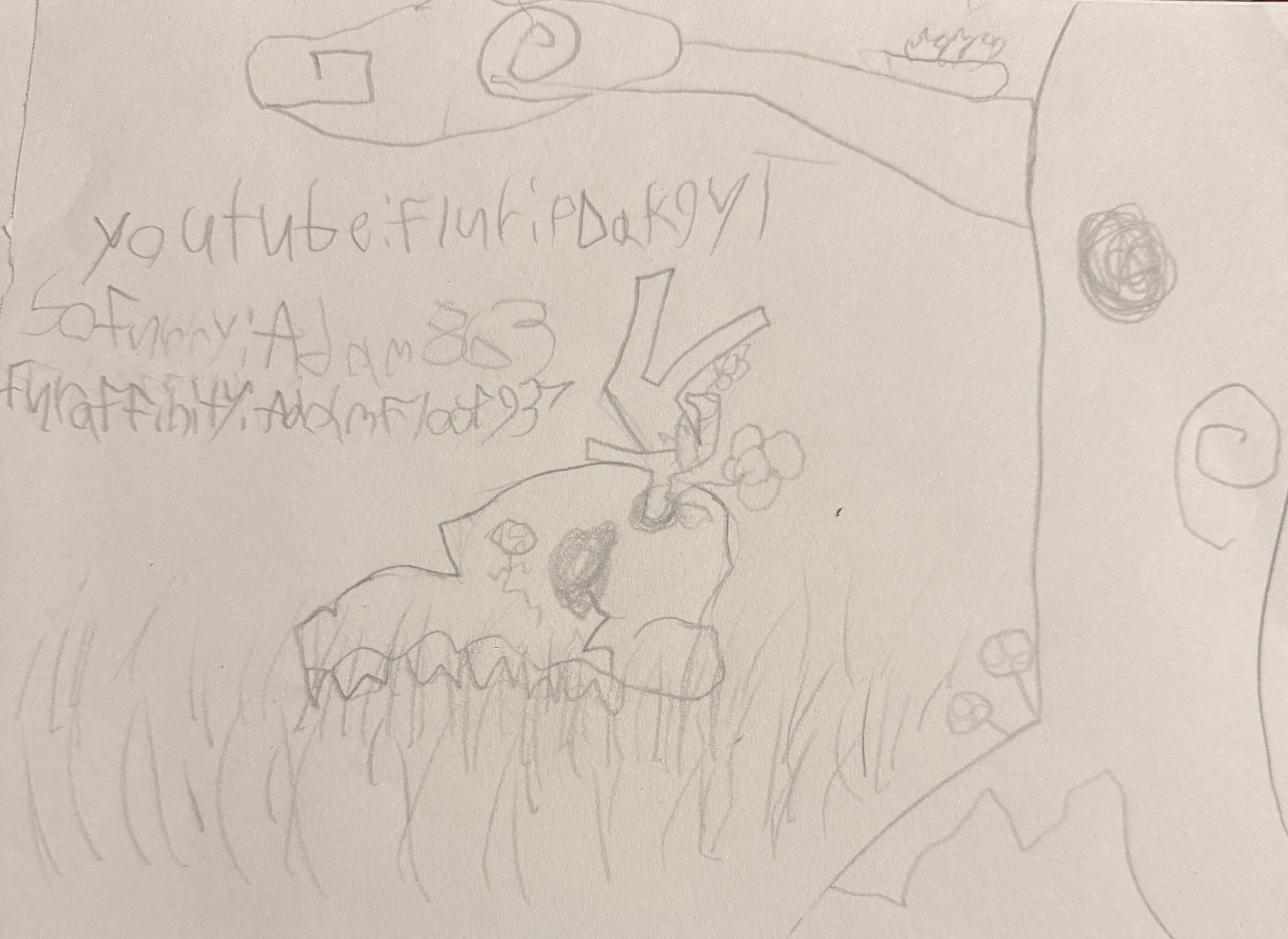 submission content