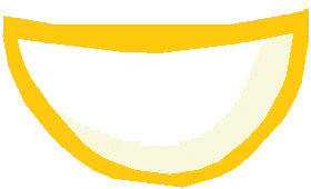 submission content