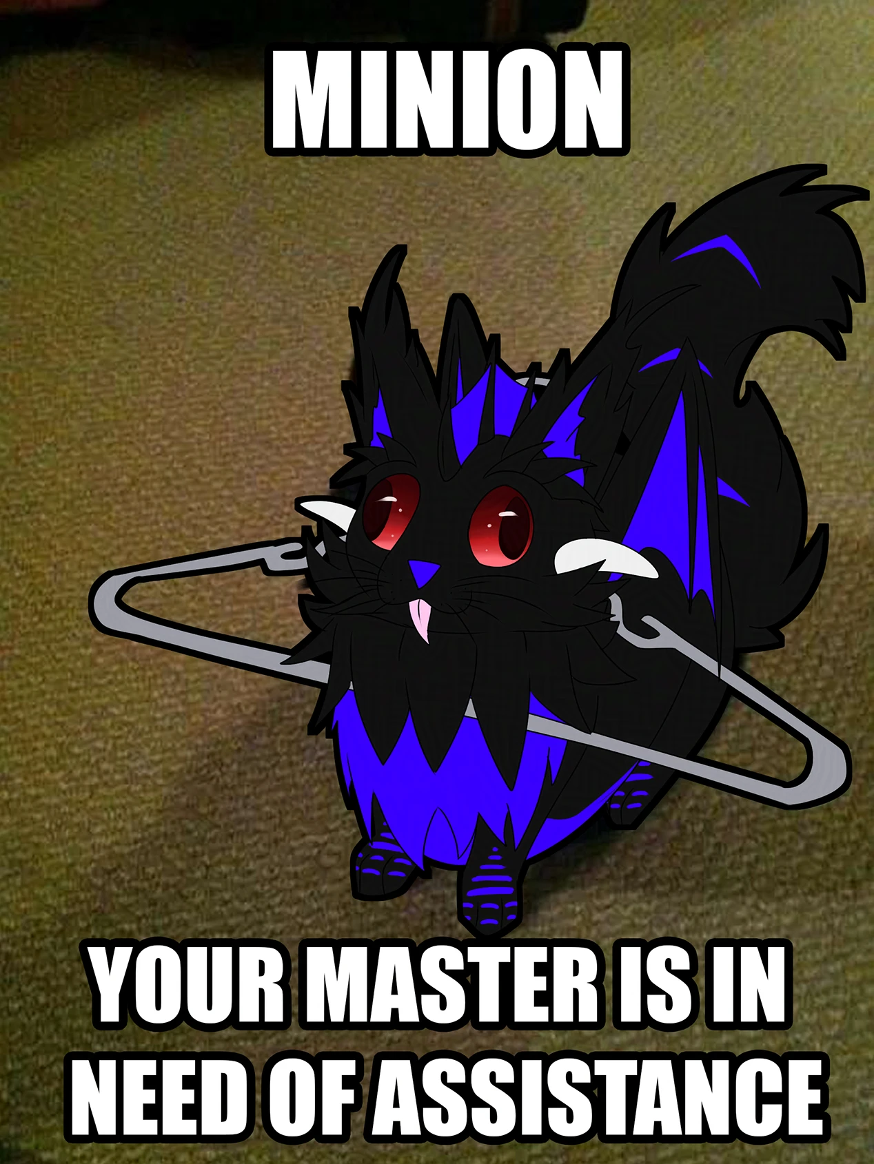 submission content