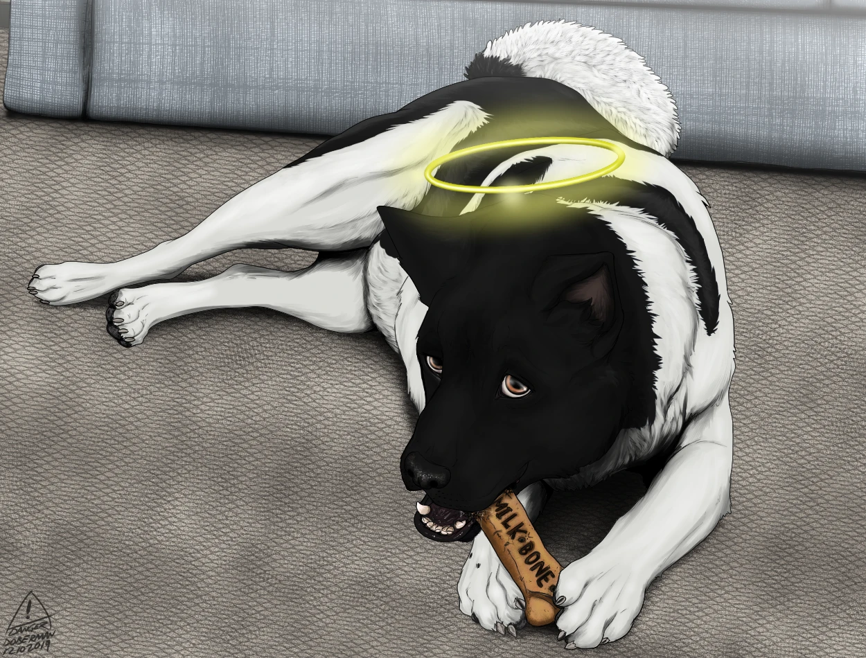 submission content