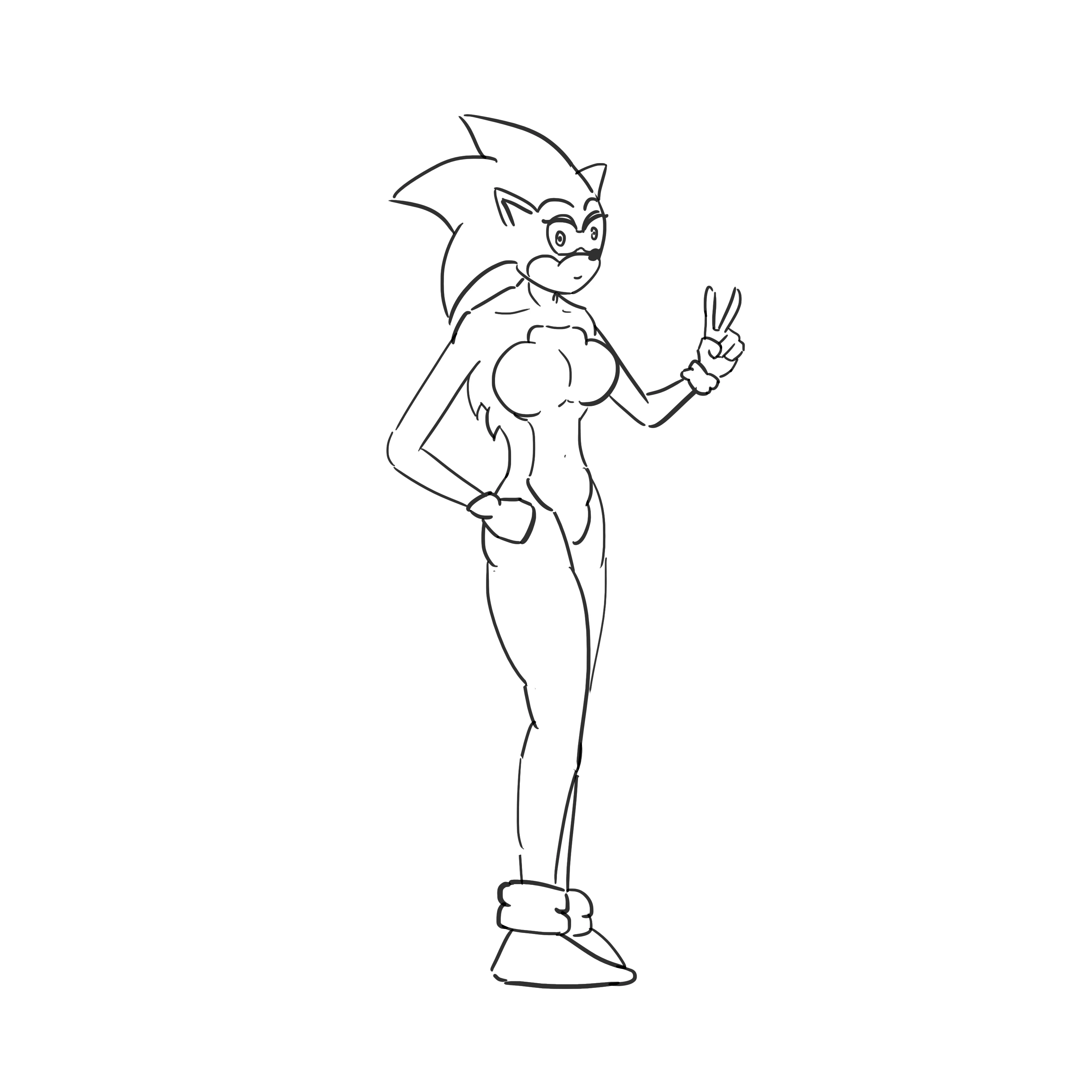 submission content