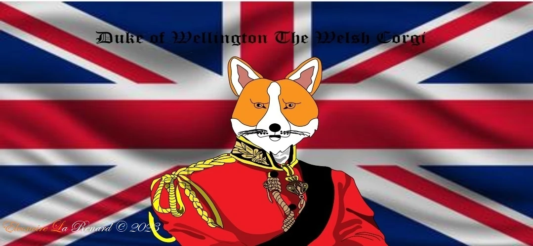 submission content