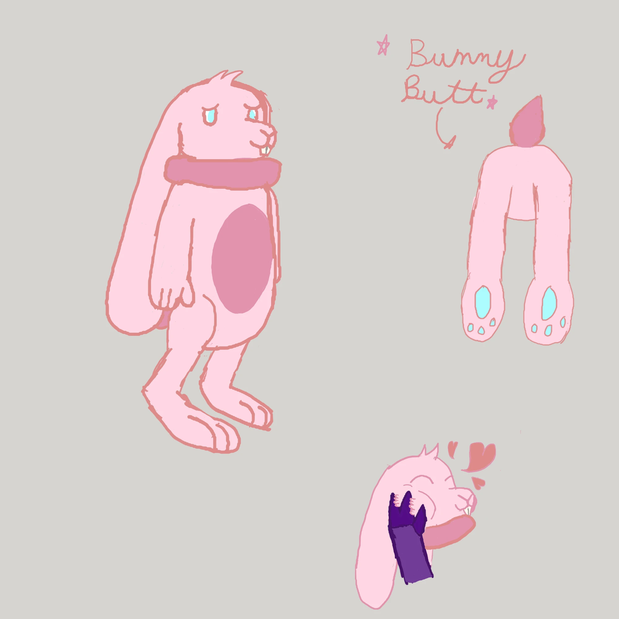 submission content