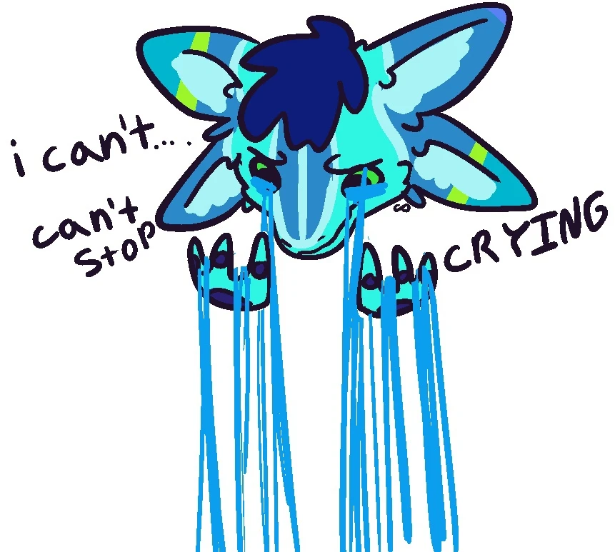submission content