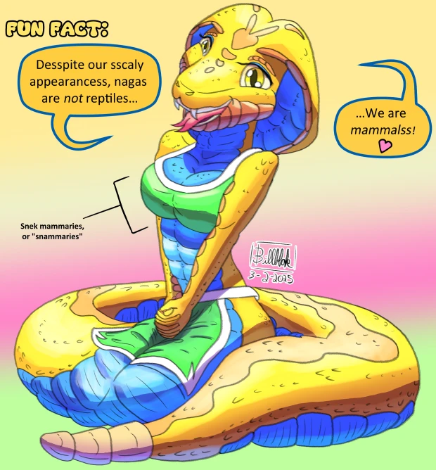 submission content