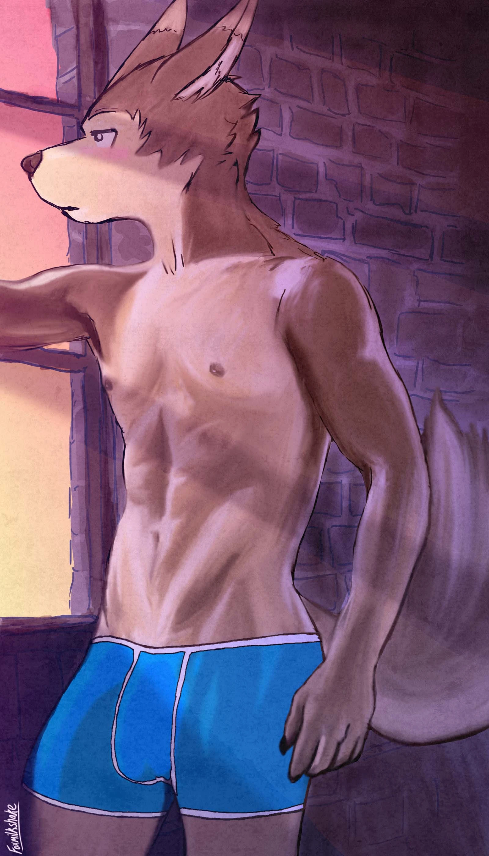 submission content