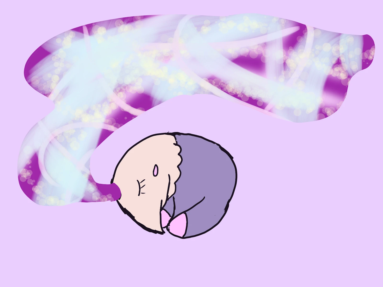 submission content