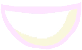 submission content
